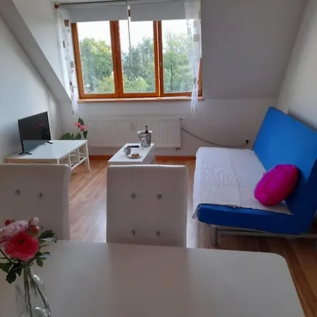 Riegrova Ceske Budejovice